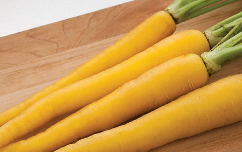 هویج زرد